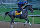 Z Fortune shown working at Churchill Downs. <br><a target="blank" href="http://www.bloodhorse.com/horse-racing/photo-store?ref=http%3A%2F%2Fpictopia.com%2Fperl%2Fgal%3Fprovider_id%3D368%26ptp_photo_id%3D4335632%0D%0A%26ref%3Dstory">Order This Photo</a>