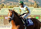 Mucho Macho Man