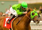 Desert Code cruises to an easy victory in the Daytona Handicap. <br><a target="blank" href="http://www.bloodhorse.com/horse-racing/photo-store?ref=http%3A%2F%2Fgallery.pictopia.com%2Fbloodhorse%2Fgallery%2F69713%2Fphoto%2Fbloodhorse%3A7756079%2F%3Fo%3D1">Order This Photo</a>