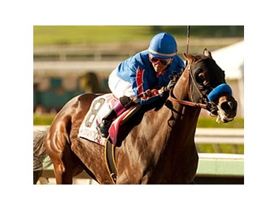 Game On Dude