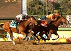 Evening Jewel will carry high weight of 122 pounds in the $150,000 Buena Vista Handicap.<br><a target="blank" href="http://www.bloodhorse.com/horse-racing/photo-store?ref=http%3A%2F%2Fpictopia.com%2Fperl%2Fgal%3Fprovider_id%3D368%26ptp_photo_id%3D9387858%26ref%3Dstory">Order This Photo</a>