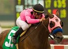 Zappa is back to defend his Cougar Handicap title.