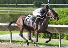 Verso a Verso streaks home in the My Dear Girl division of the 2012 Florida Stallion Stakes series at Calder Race Course.