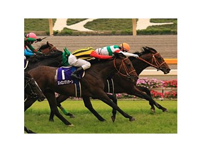 Real Impact and Keita Tosaki take the Yasuda Kinen.<br><a target="blank" href="http://www.bloodhorse.com/horse-racing/photo-store?ref=http%3A%2F%2Fpictopia.com%2Fperl%2Fgal%3Fprovider_id%3D368%26ptp_photo_id%3D9551789%26ref%3Dstory">Order This Photo</a>