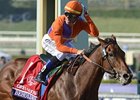 Beholder Champion 2-Year-Old Filly Beholder Champion 2-Year-Old Filly