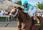 Mordi's Miracle and Edgar Prado take the Sunshine Millions Classic Preview.<br><a target="blank" href="http://photos.bloodhorse.com/AtTheRaces-1/at-the-races-2013/27257665_QgCqdh#!i=2894741073&k=VwtfqHg">Order This Photo</a>