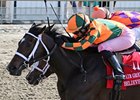 Believe You Can Holds On in Fair Grounds Oaks Believe You Can Holds On in Fair Grounds Oaks
