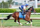 Silver Medallion will run against Mr. Ryder.