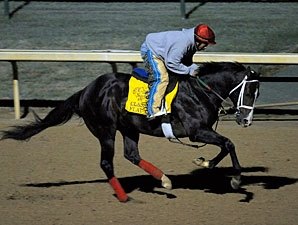 Flat Out Will Run in Clark Handicap Flat Out Will Run in Clark Handicap