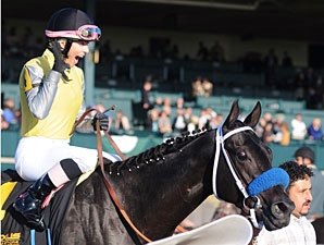 Great Hot Edges Groupie Doll in Raven Run Great Hot Edges Groupie Doll in Raven Run