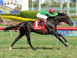 Howe Great Shows He'll Rate in Palm Beach Win Howe Great Shows He'll Rate in Palm Beach Win