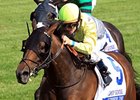 Upperline takes on 6 in the Arlington Matron Stakes.