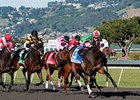 Zeewat leads the way in the California Derby at Golden Gate Fields.