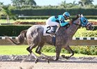 Imawildandcrazyguy seeks his first win since July of last year when he tackles eight other horses in the Challenger Stakes.