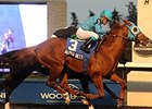 Alpha Bettor gets up late to win the Autumn Stakes.
