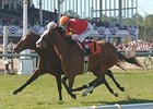 Karelian Stuns Champion Gio Ponti Karelian Stuns Champion Gio Ponti