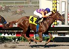 Achievers Legacy wins the Desi Arnaz Stakes.