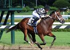 Maybesomaybenot took the Sanford Stakes by 1 1/2 lengths at Saratoga.<br><a target="blank" href="http://www.bloodhorse.com/horse-racing/photo-store?ref=http%3A%2F%2Fpictopia.com%2Fperl%2Fgal%3Fprovider_id%3D368%26ptp_photo_id%3D9117309%26ref%3Dstory">Order This Photo</a>