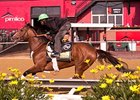 Still No Uniform Medication in Triple Crown Still No Uniform Medication in Triple Crown