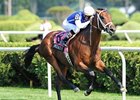 With Anticipation winner Interactif is the one to beat in the Pilgrim Stakes.<br><a target="blank" href="http://www.bloodhorse.com/horse-racing/photo-store?ref=http%3A%2F%2Fpictopia.com%2Fperl%2Fgal%3Fprovider_id%3D368%26ptp_photo_id%3D8457915%26ref%3Dstory">Order This Photo</a>