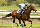The next work for Colonel John, shown in a April 20 work at Santa Anita, will be determined by the weather.