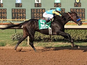 Prayer for Relief Wires Super Derby Field Prayer for Relief Wires Super Derby Field