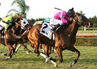 Bad Debt won the 2011 Bonnie Heath.