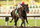 Century Park won the grade III Santa Ysabel in 2009.<br><a target="blank" href="http://www.bloodhorse.com/horse-racing/photo-store?ref=http%3A%2F%2Fpictopia.com%2Fperl%2Fgal%3Fprovider_id%3D368%26ptp_photo_id%3D7388077%26ref%3Dstory">Order This Photo</a>