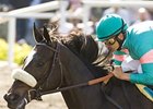 Zenyatta stays perfect with an easy win in the Milady.<br><a target="blank" href="http://www.bloodhorse.com/horse-racing/photo-store?ref=http%3A%2F%2Fpictopia.com%2Fperl%2Fgal%3Fprovider_id%3D368%26ptp_photo_id%3D8148224%26ref%3Dstory">Order This Photo</a>
