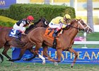 Prince Will I Am faces 6 in the Pan American Stakes.<br><a target="blank" href="http://www.bloodhorse.com/horse-racing/photo-store?ref=http%3A%2F%2Fpictopia.com%2Fperl%2Fgal%3Fprovider_id%3D368%26ptp_photo_id%3D9412735%26ref%3Dstory">Order This Photo</a>