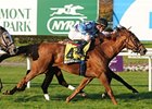 Belle Allure gets up late to win the Athenia Stakes at Belmont.<br><a target="blank" href="http://www.bloodhorse.com/horse-racing/photo-store?ref=http%3A%2F%2Fpictopia.com%2Fperl%2Fgal%3Fprovider_id%3D368%26ptp_photo_id%3D8568997%26ref%3Dstory">Order This Photo</a>