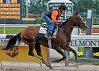 Bill Warren hopes to spring the upset in the Belmont with Denis of Cork.<br><a target="blank" href="http://www.bloodhorse.com/horse-racing/photo-store?ref=http%3A%2F%2Fpictopia.com%2Fperl%2Fgal%3Fprovider_id%3D368%26ptp_photo_id%3D4738524%26ref%3Dstory">Order This Photo</a>
