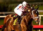 Violence and Javier Castellano take the CashCall Futurity.