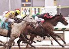 William R. Harris bred and owned 2010 Barbara Fritchie Handicap winner Sweet Goodbye.