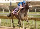 Musket Man strides away in the Illinois Derby.