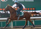 Hong Kong Races Heavy on Subplots Hong Kong Races Heavy on Subplots