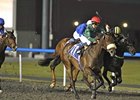 Splash Point outfinishes Zanzamar to win UAE 2000 Guineas.