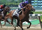 Mike Lee Stakes winner Amberjack<br><a target="blank" href="http://photos.bloodhorse.com/AtTheRaces-1/at-the-races-2013/27257665_QgCqdh#!i=2548187890&k=kjNL69N">Order This Photo</a>