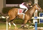 Tessa Blue may be favored in an evenly matched Arlington Matron.