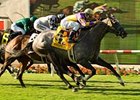 Eddie Read winner Monzante<br><a target="blank" href="http://www.bloodhorse.com/horse-racing/photo-store?ref=http%3A%2F%2Fpictopia.com%2Fperl%2Fgal%3Fprovider_id%3D368%26ptp_photo_id%3D5213279%26ref%3Dstory">Order This Photo</a>