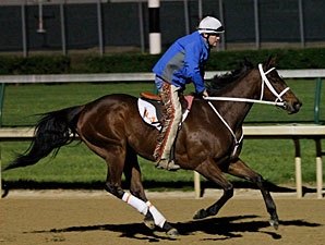 Havre de Grace Works 5 Furlongs at Churchill Havre de Grace Works 5 Furlongs at Churchill