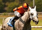 Royal Heroine Winner Schiaparelli Retired Royal Heroine Winner Schiaparelli Retired