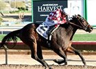 Taylors Deal has won three of his four starts this year, including the Turf Paradise Derby, when he was ridden by Mario Gutierrez.