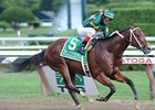 Majesticperfection<br><a target="blank" href="http://www.bloodhorse.com/horse-racing/photo-store?ref=http%3A%2F%2Fpictopia.com%2Fperl%2Fgal%3Fprovider_id%3D368%26ptp_photo_id%3D9134900%26ref%3Dstory">Order This Photo</a>