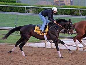 Mott Horses on Track Mott Horses on Track