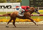 Willard Proctor Memorial Stakes winner Majestic City takes on 7 in the Hollywood Juvenile Championship Stakes.