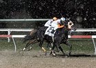 Ben's Cat goes by Ribo Bobo to win the Fabulous Strike.