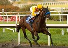 Richard's Kid cruises in the Prove It Stakes at Hollywood Park.