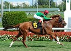 Stress Fracture Sidelines Animal Kingdom Stress Fracture Sidelines Animal Kingdom