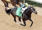 Semaphore Man, the lone graded stakes winner in a full field of 11 sprinters, tops the Aristides Stakes.